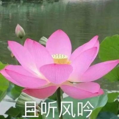 【境内疫情观察】广东新增7例本土病例（6月5日）